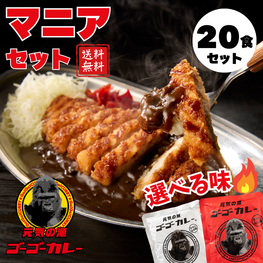 Go Go Curry Choice of 20 Meals Set – ゴーゴーカレー公式通販