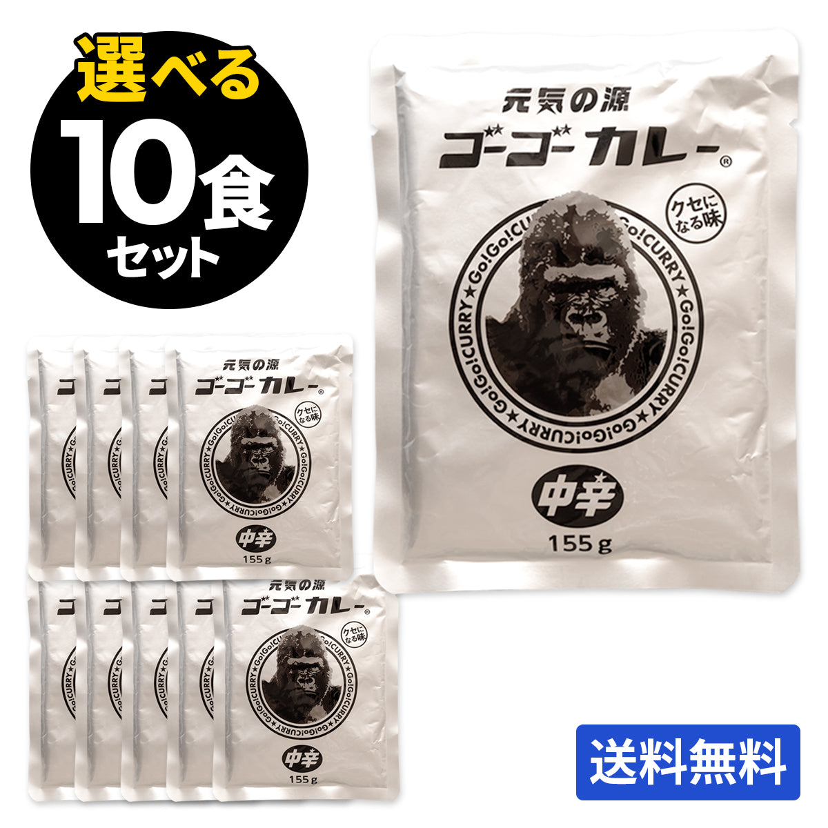 【定期便】初回20%OFF!サブスク限定!ゴーゴーカレー 選べる 10食&チケットセット