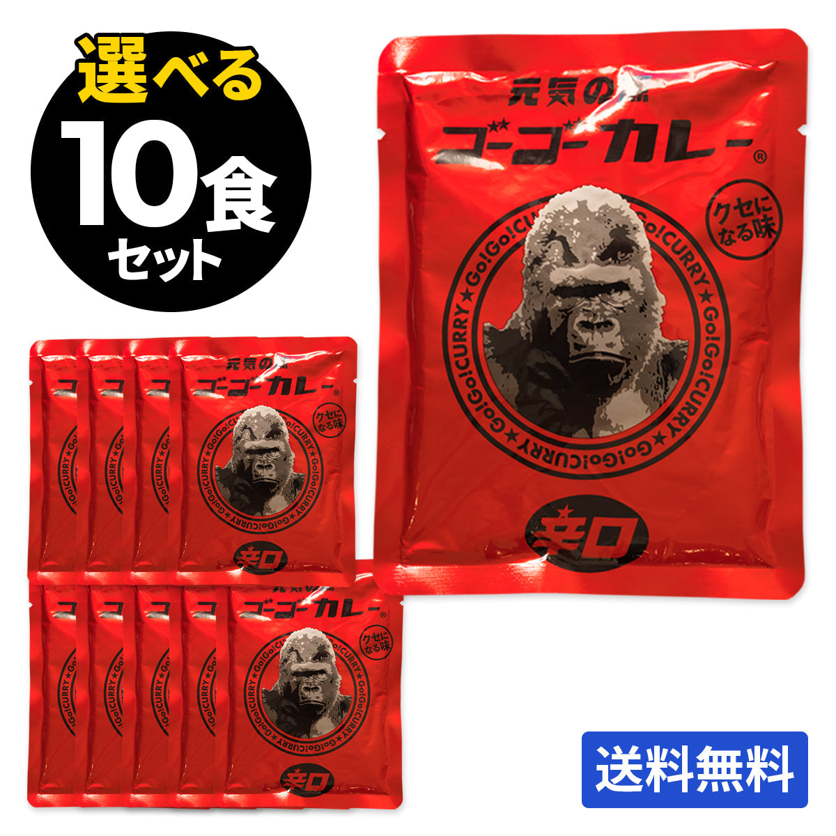 【定期便】初回20%OFF!サブスク限定!ゴーゴーカレー 選べる 10食&チケットセット