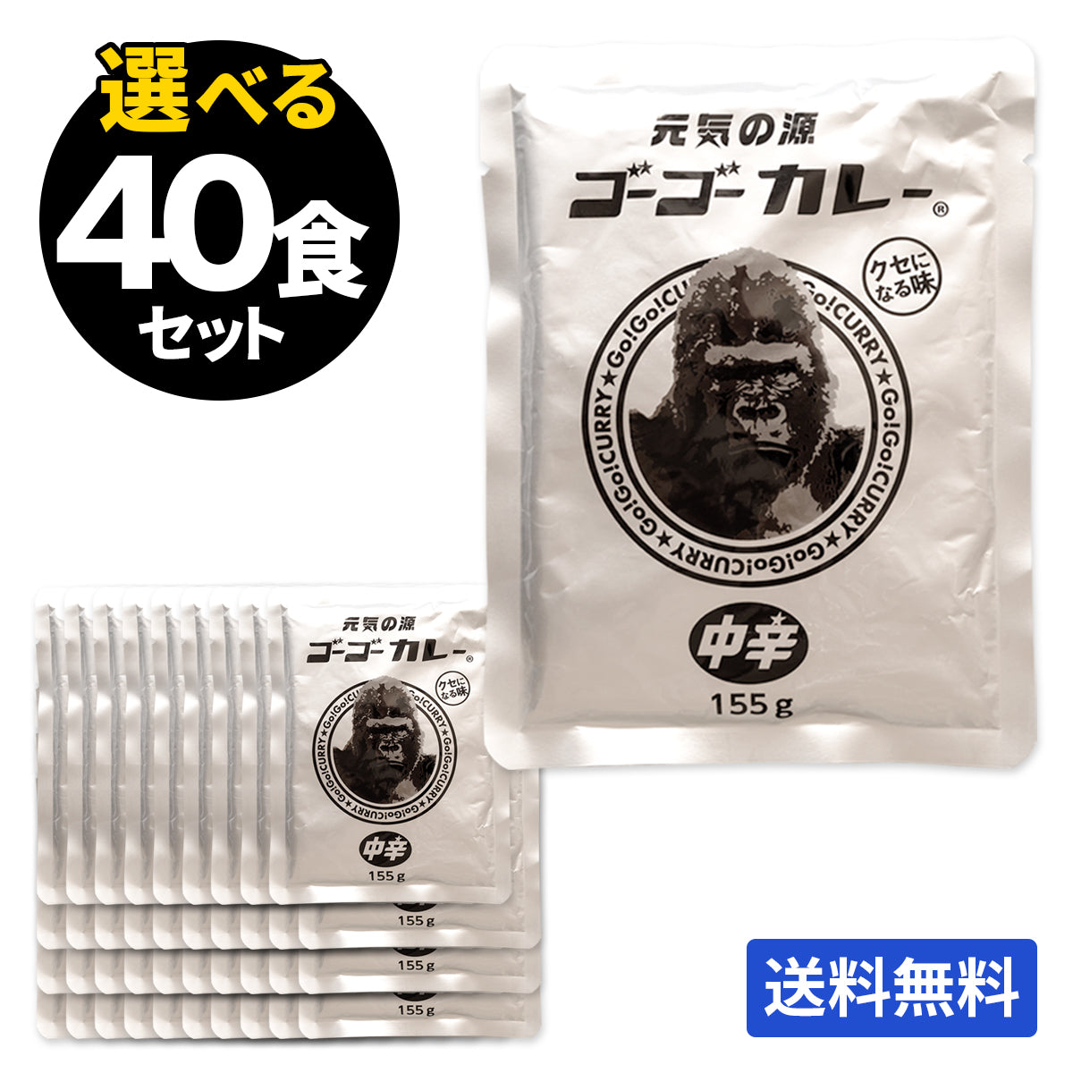 ゴーゴーカレー 選べる 40食セット