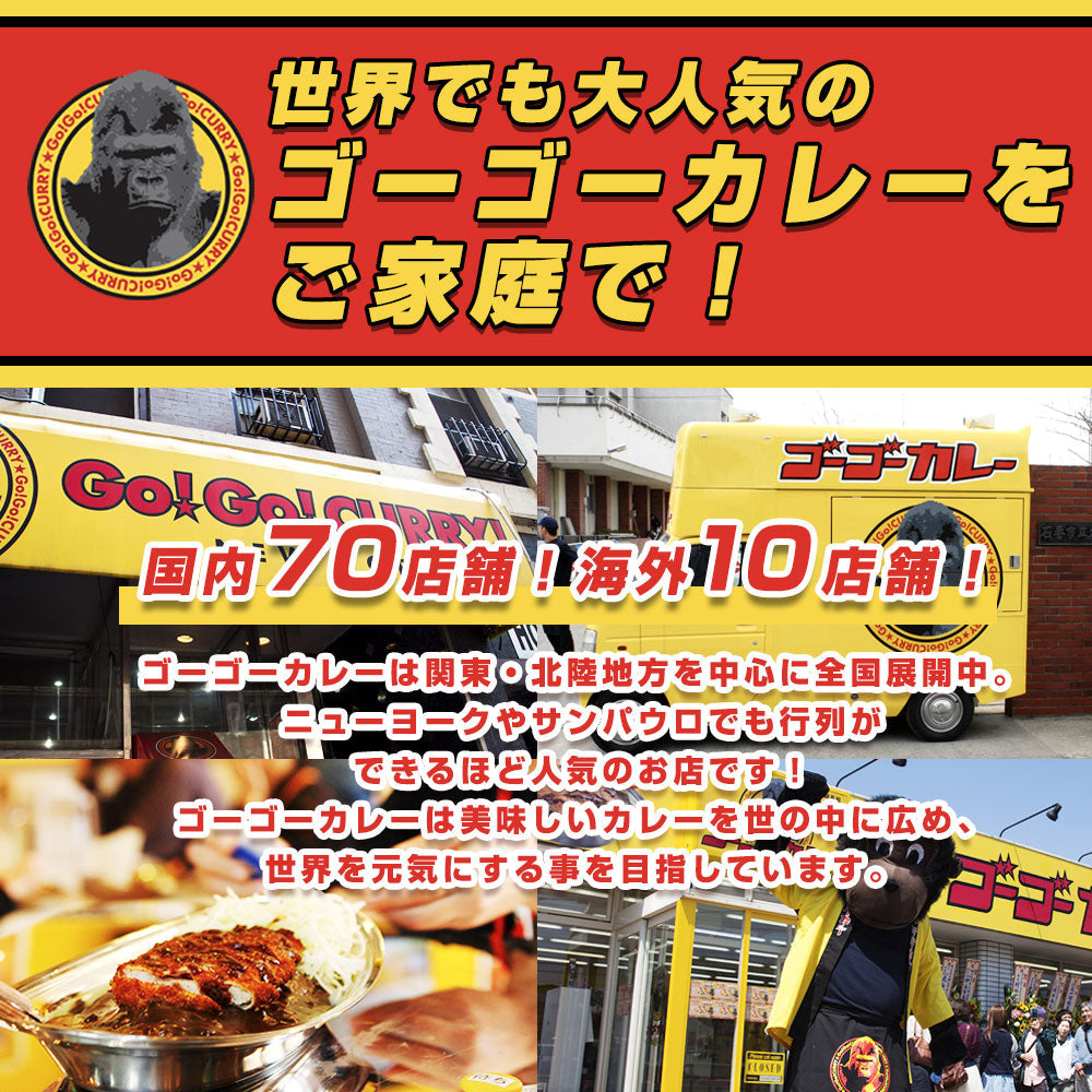 令和6年能登半島地震　復興応援セット（ゴーゴーカレー中辛の５食入りセット）