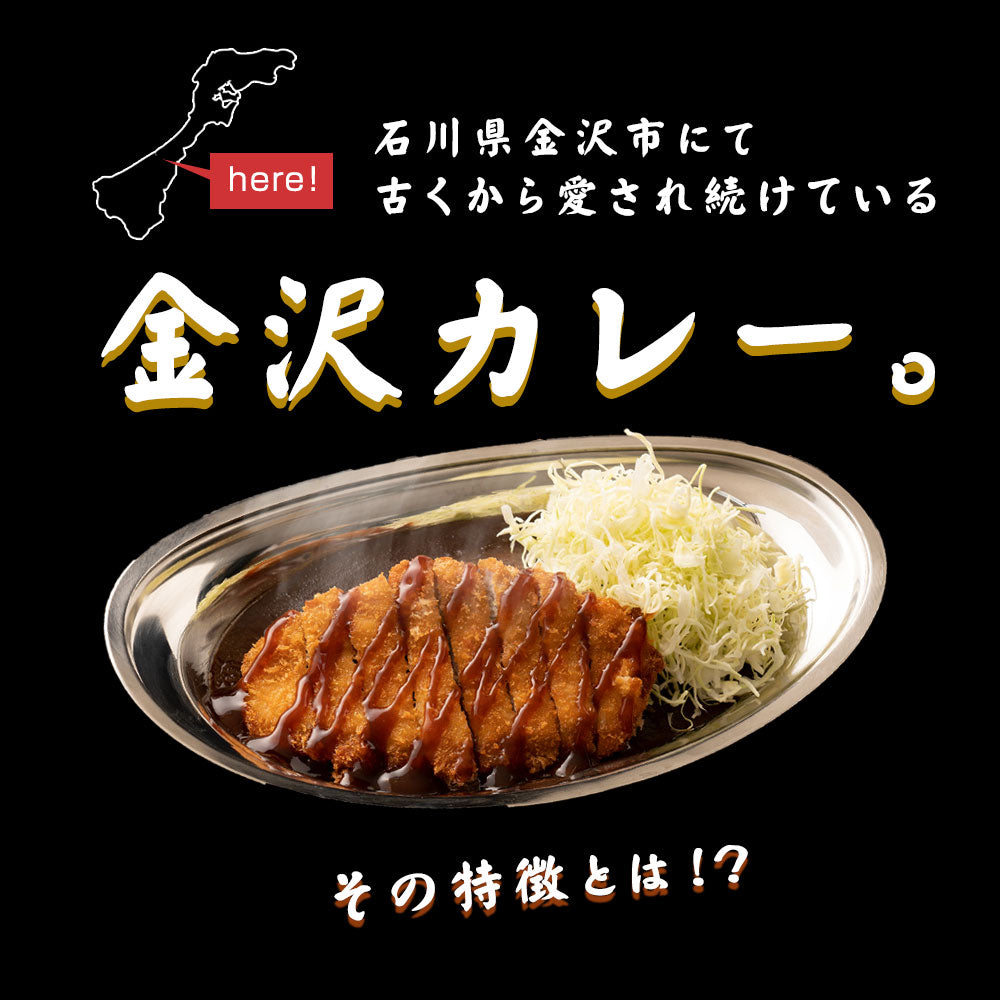 令和6年能登半島地震　復興応援セット（ゴーゴーカレー中辛の５食入りセット）