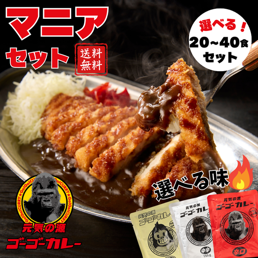 ゴーゴーカレー  選べる 20食セット